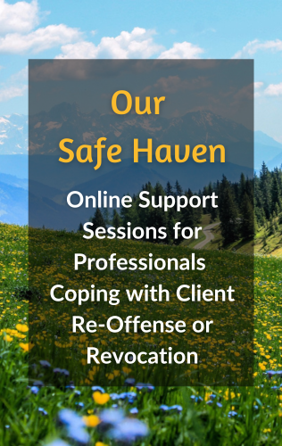 Our Safe Haven: Online Support Session for Professionals Coping with Re-Offense or Revocation